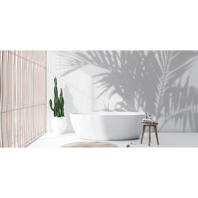 Palm Shadow