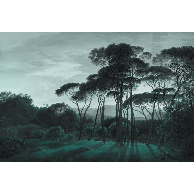 Pine Trees