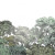 forêt