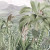 jungle et tropical