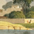 paysage